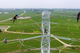 高空架設電力“大動脈”確保秋糧豐產豐收