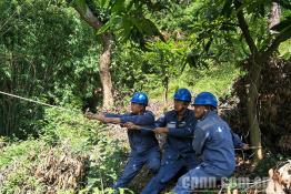 田陽供電：百峰線路登檢