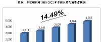 未來5年年中國天然氣行業供需前景預測分析