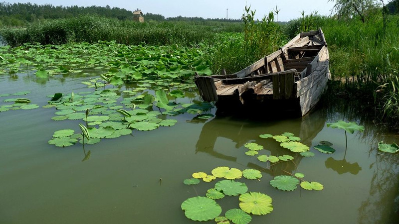 德州首次地方立法聚焦濕地保護