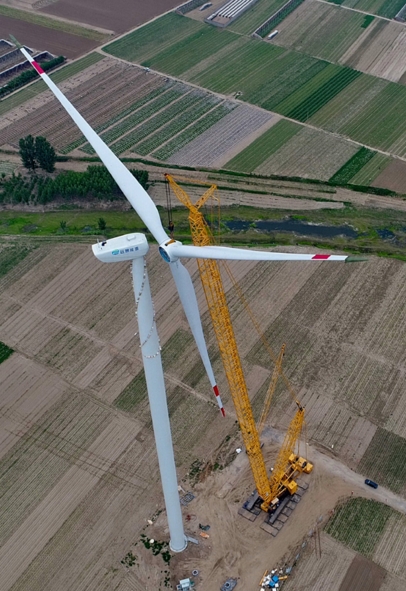 河北昌黎縣灤河口風電項目工程開始吊裝風機