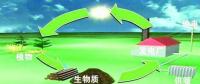 生物質是替代核電、火電 彌補天然氣缺口的一種重要新能源