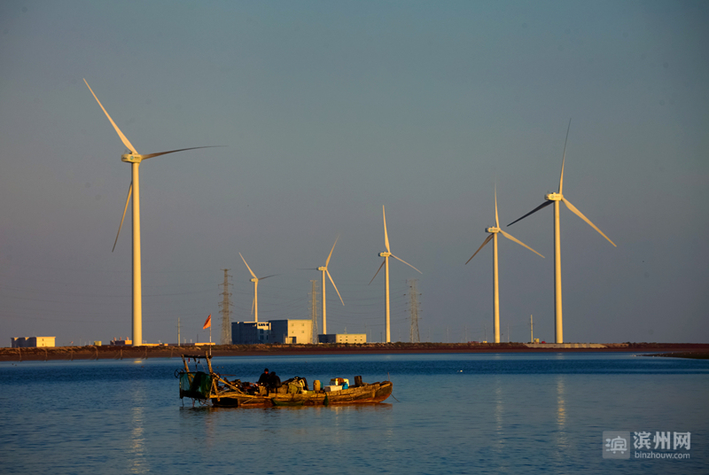 強冷空氣帶來強勁風能！4月6日濱州風電發電量占濱州電網總量33%