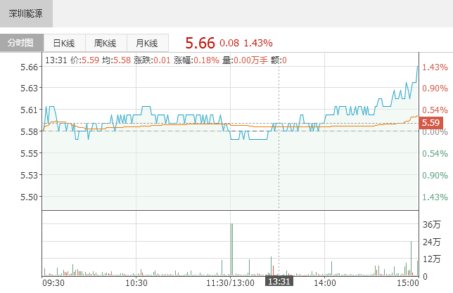 深圳能源：關于投資建設單縣5萬千瓦風力發電項目并提供擔保的公告