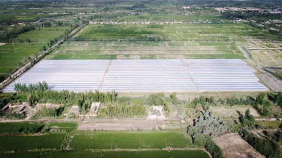 新疆牽手農村淘寶推新型互聯網訂單農業 巴楚留香瓜模式再擴三地