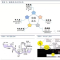 儲能將成為能源互聯網新型能源利用模式的關鍵支撐技術