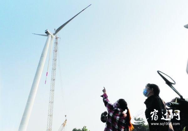 本土企業助力泗陽 迎來風力發電時代