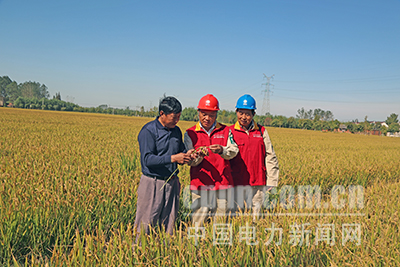 助力農民秋收用電