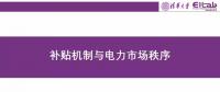 陳啟鑫：補貼機制與電力市場秩序