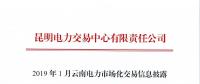 昆明電力交易中心發布了《2019年01月云南電力市場化交易信息披露》